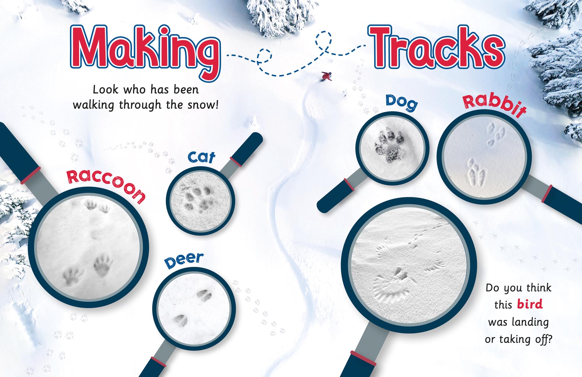 Image: sample content