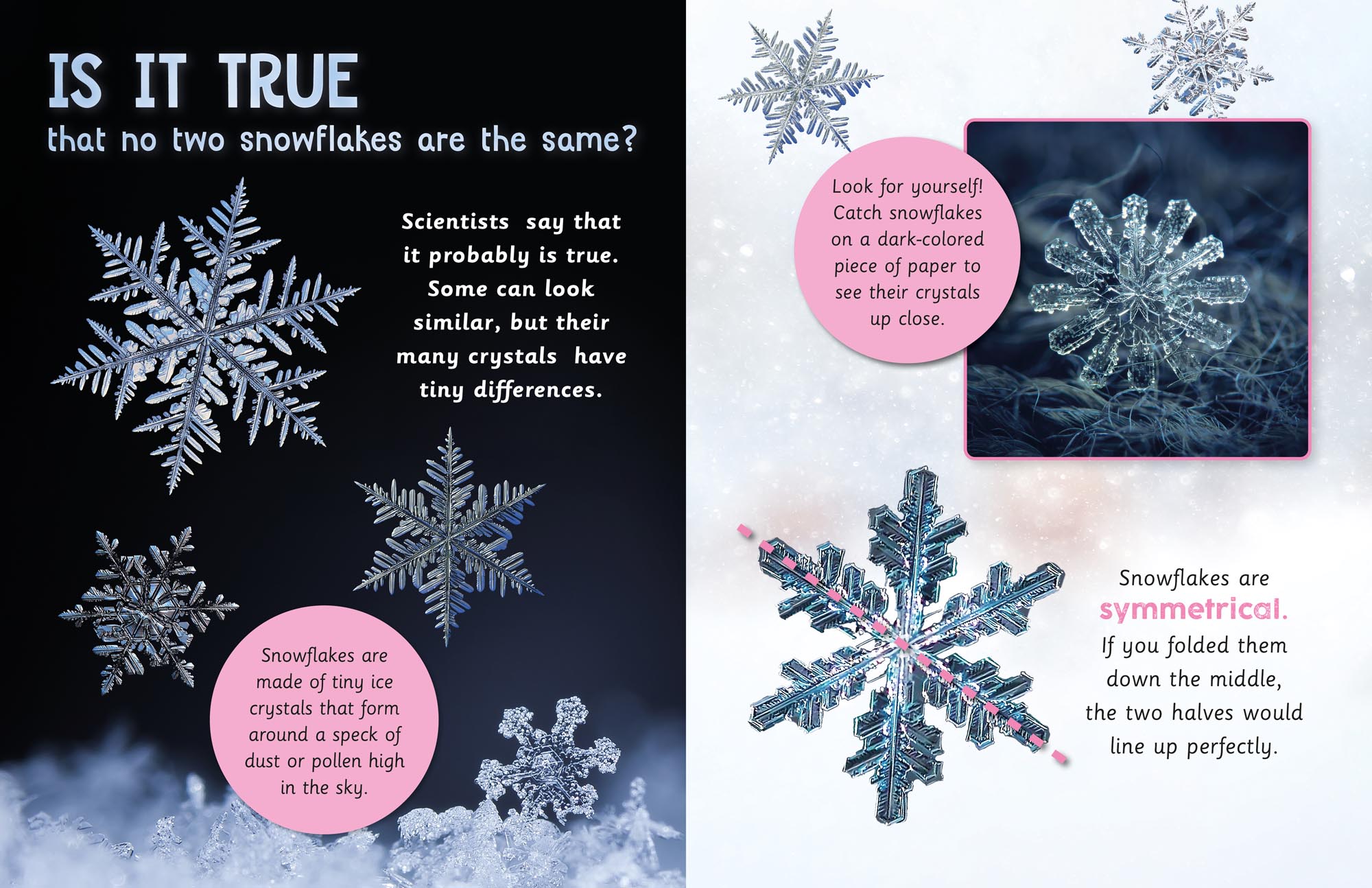 Image: sample content