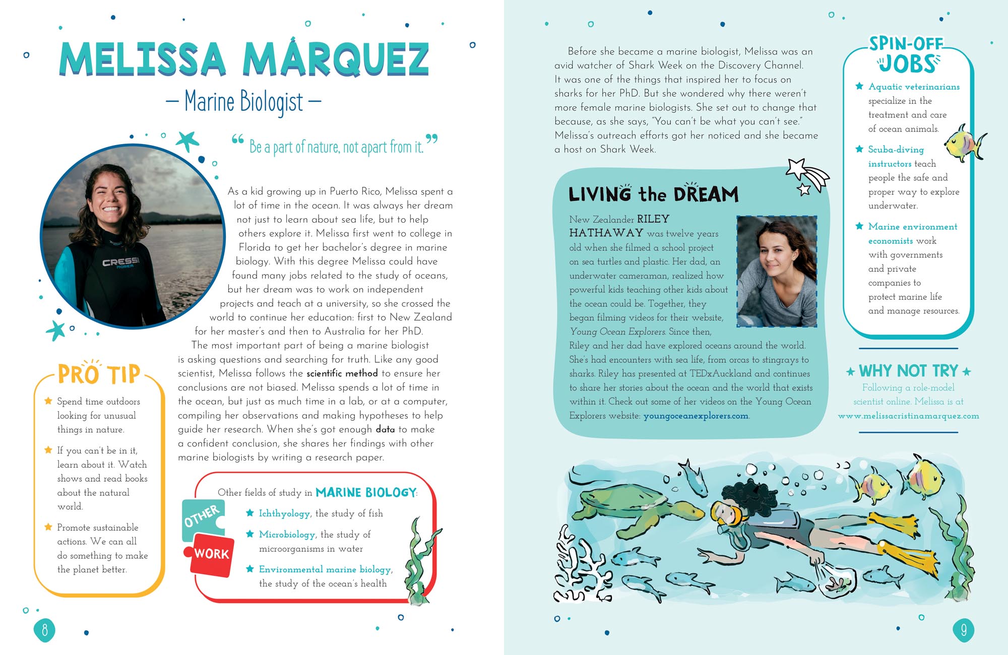 Image: sample content