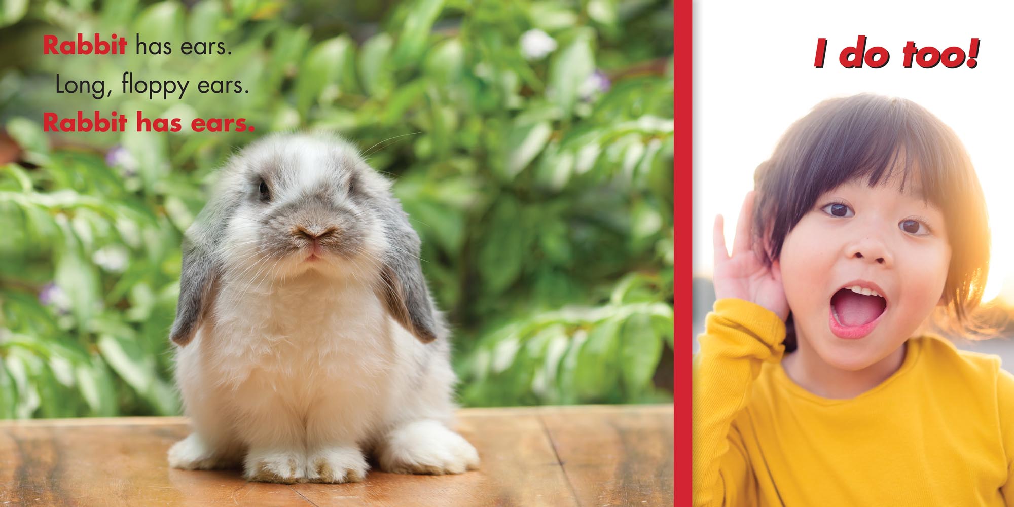 Image: sample content