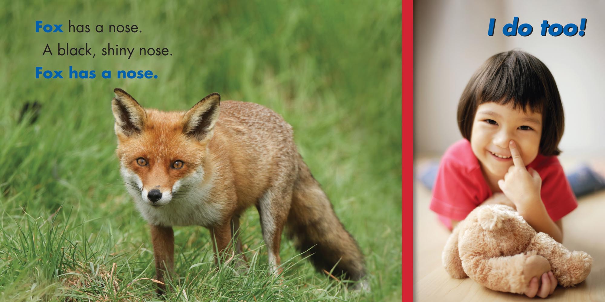 Image: sample content