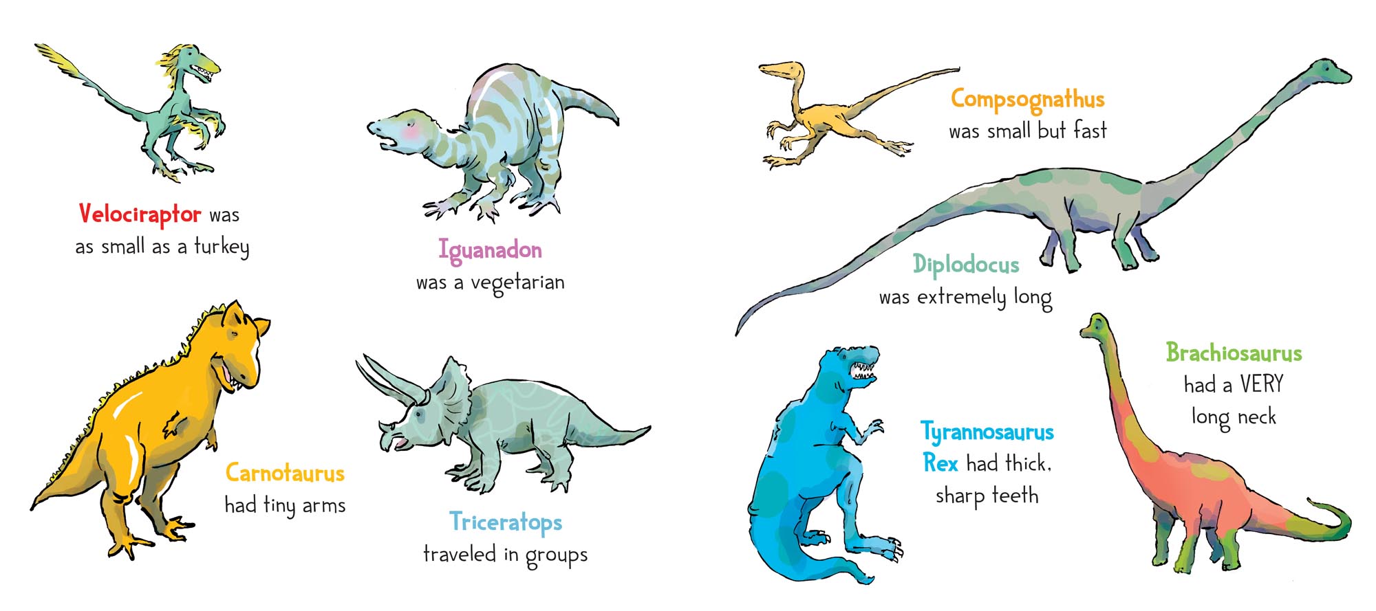 Image: sample content