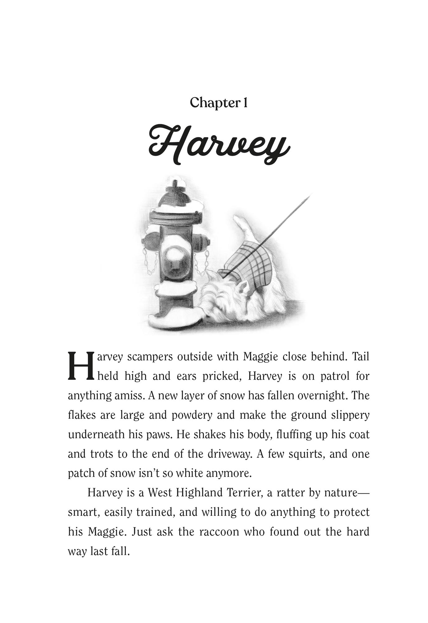 Image: sample content