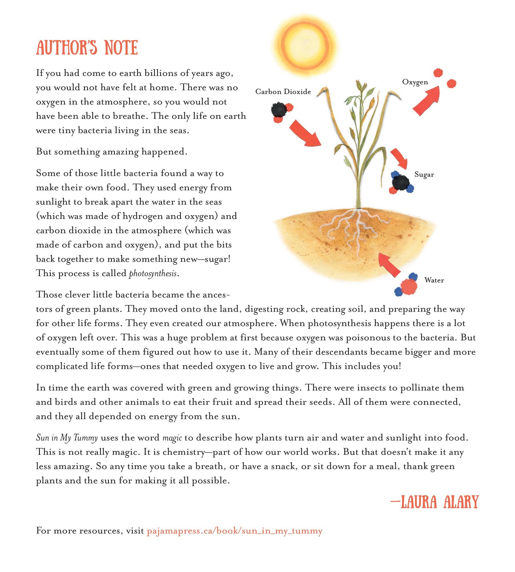 Image: sample content