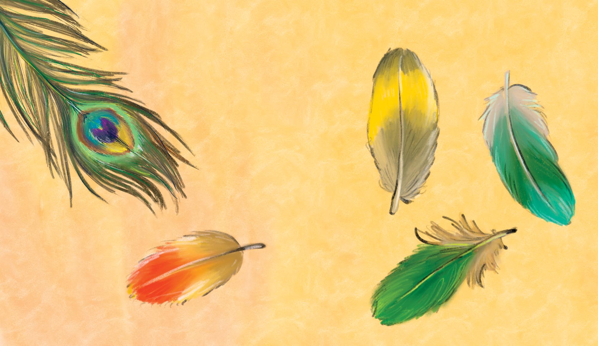 Image: sample content