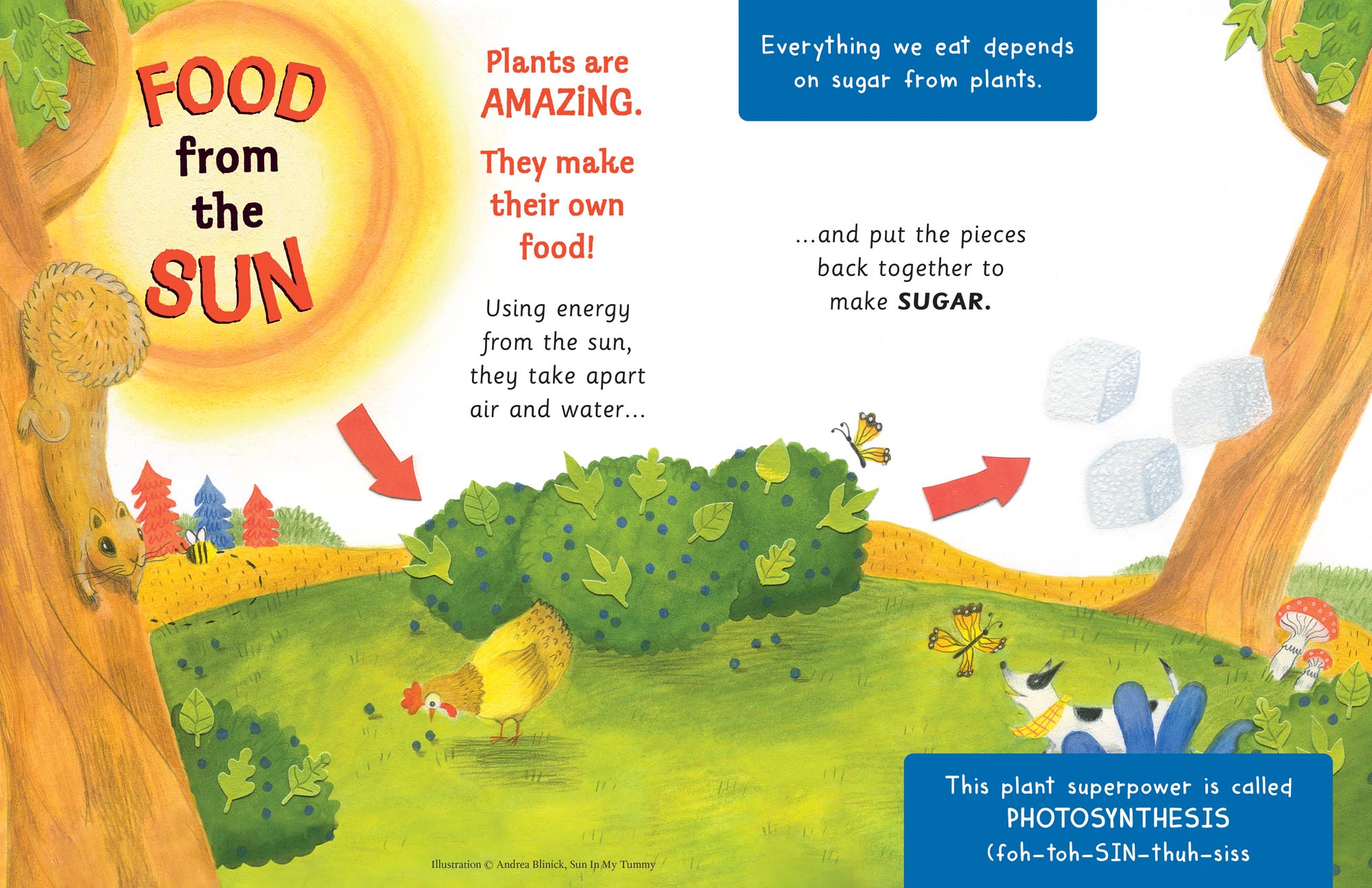 Image: sample content