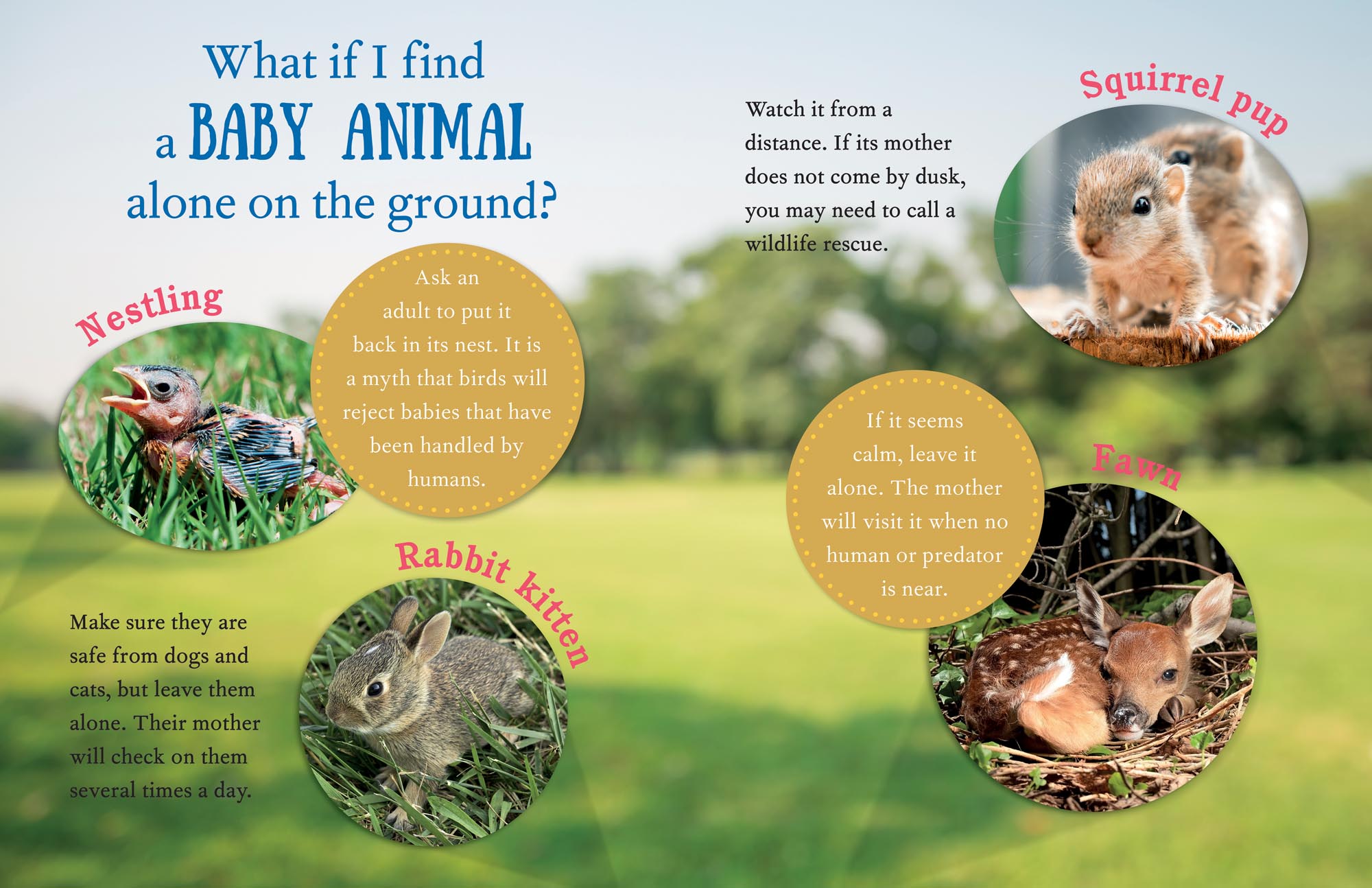 Image: sample content