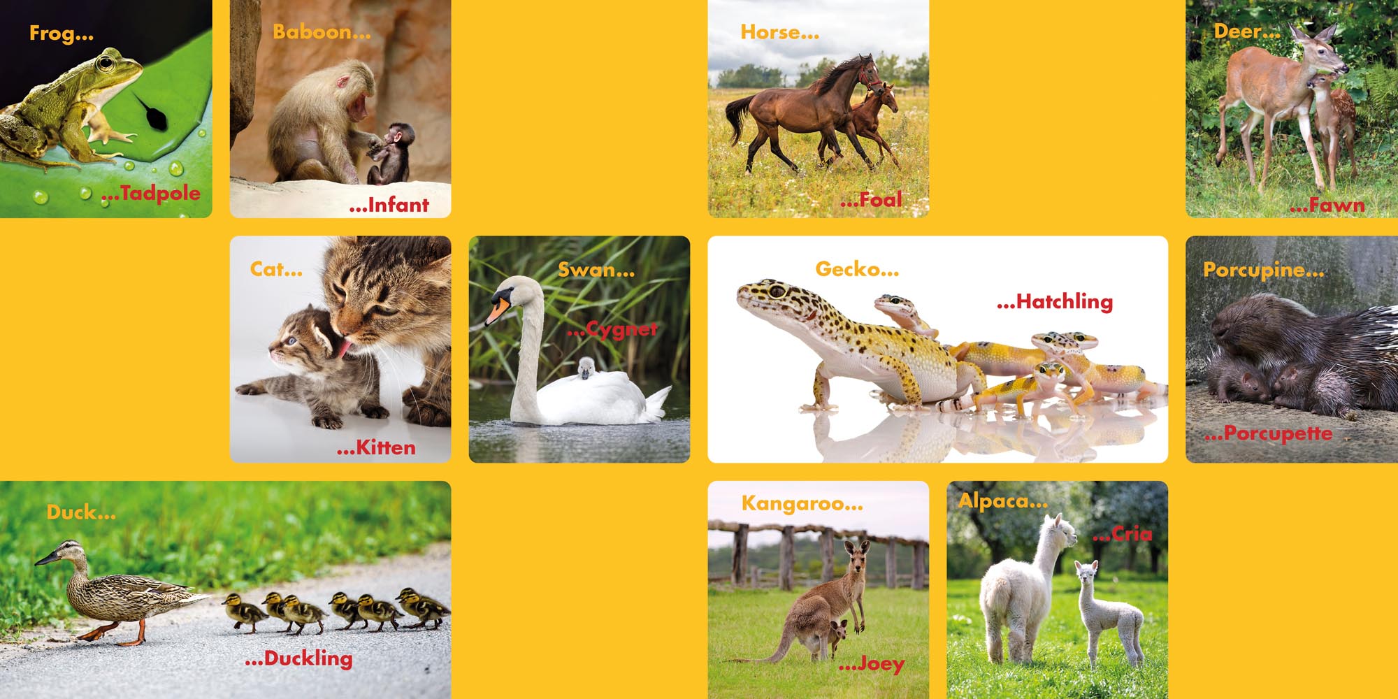 Image: sample content