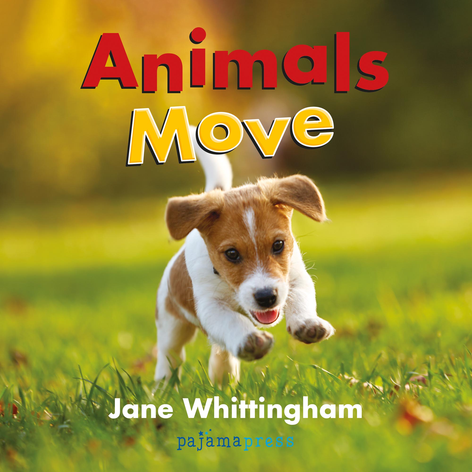 Image: sample content