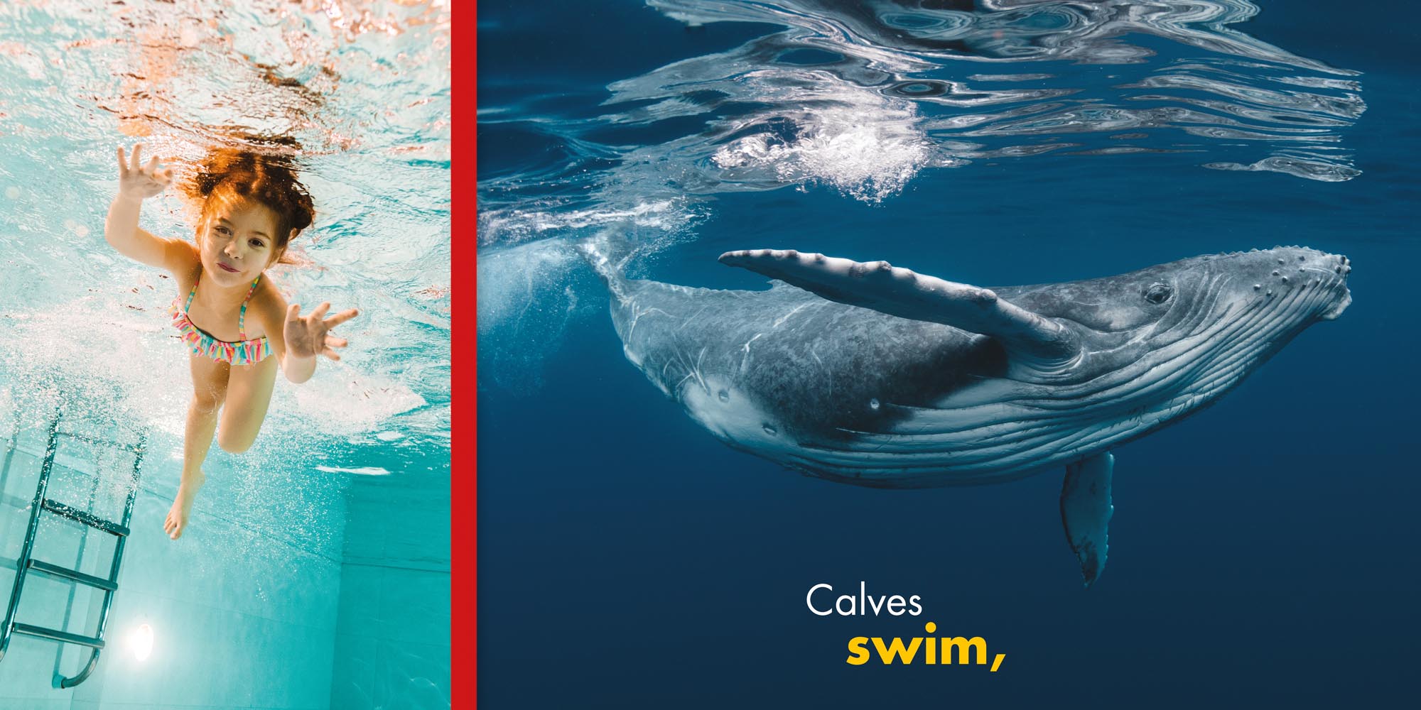 Image: sample content