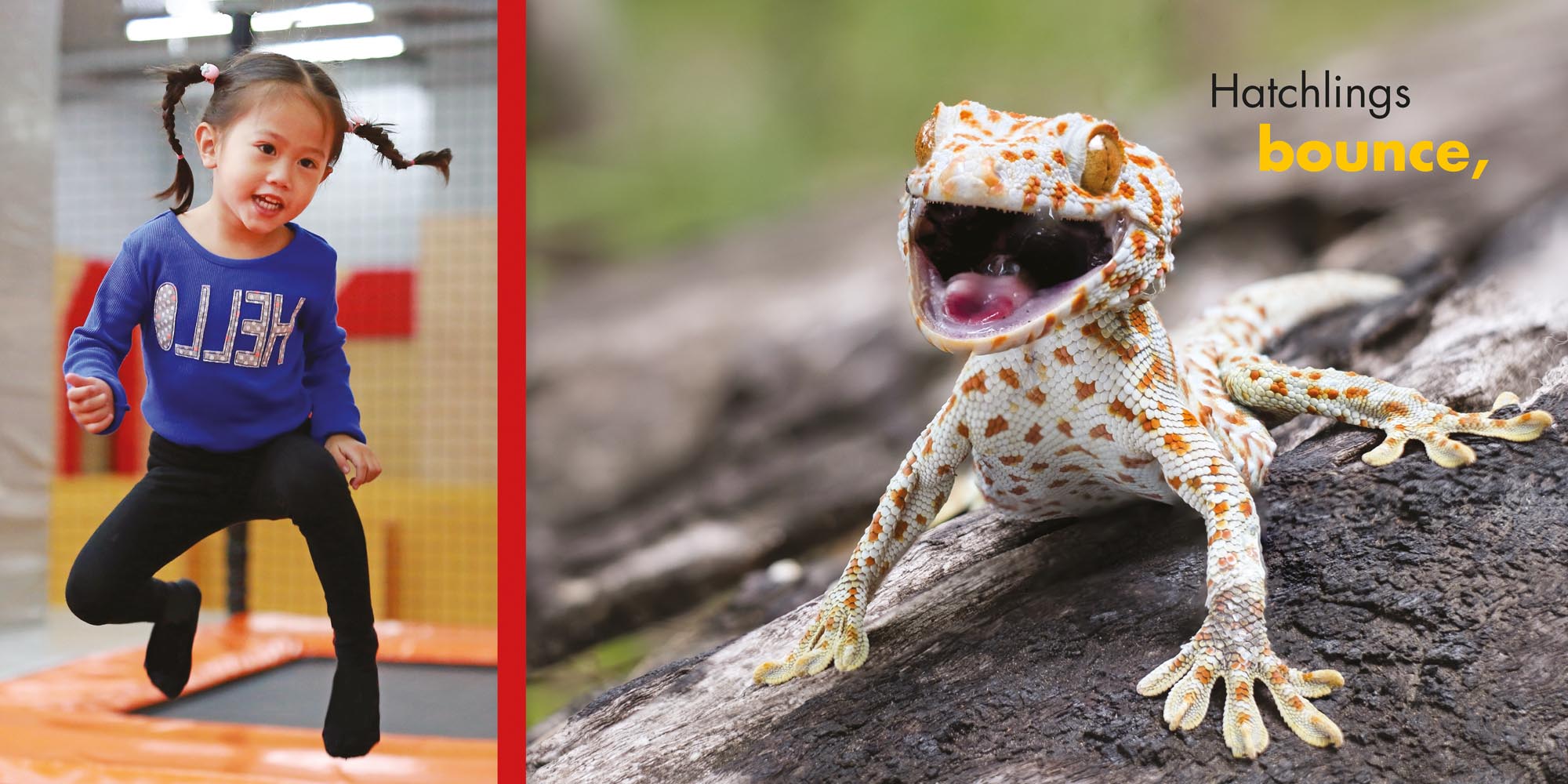 Image: sample content