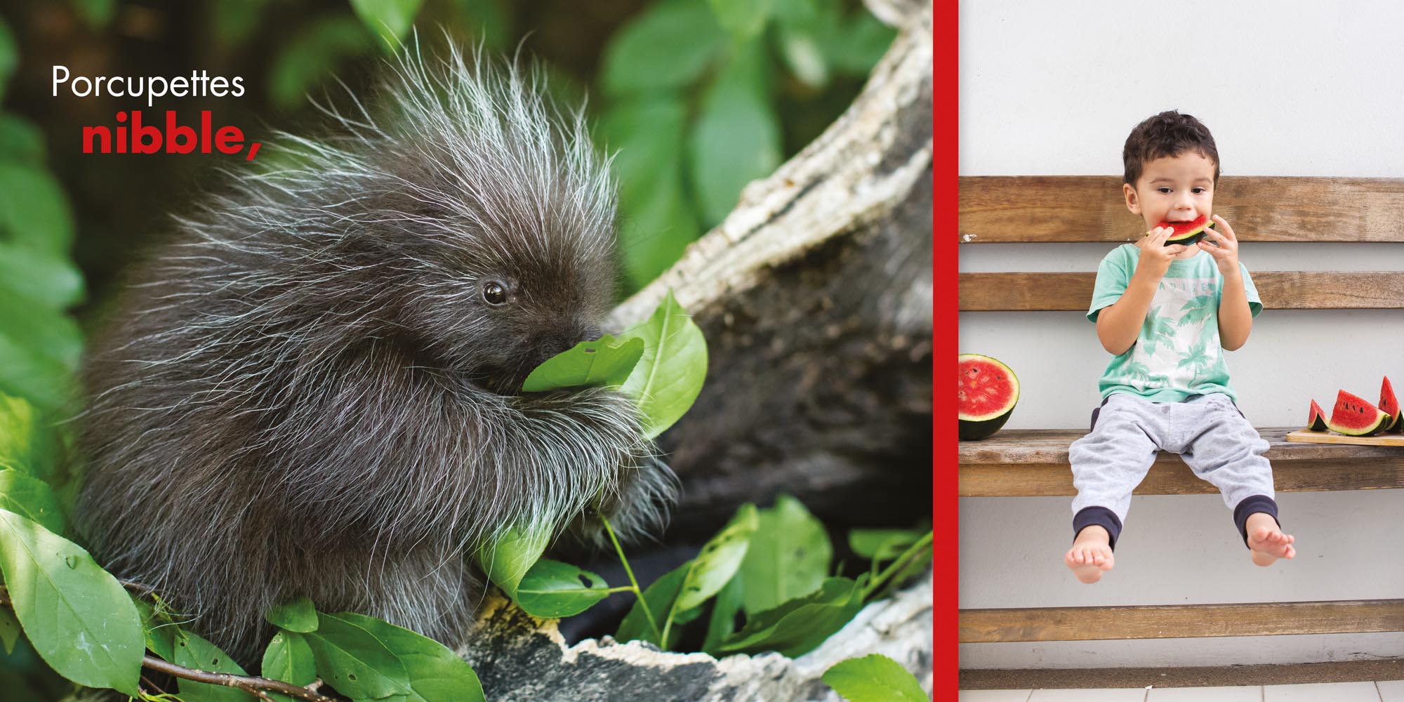 Image: sample content