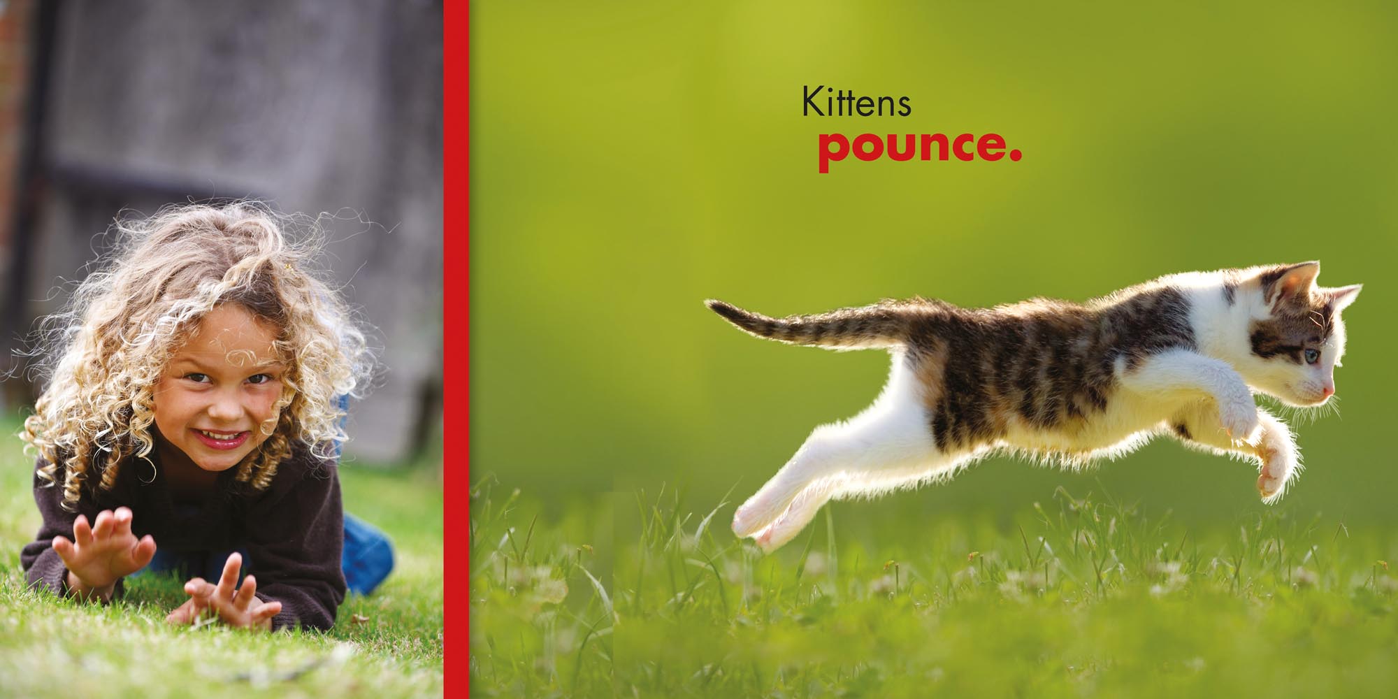 Image: sample content