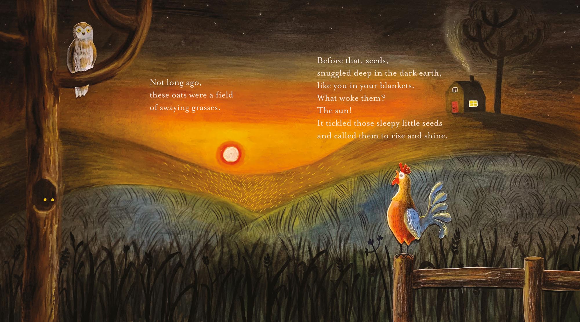 Image: sample content