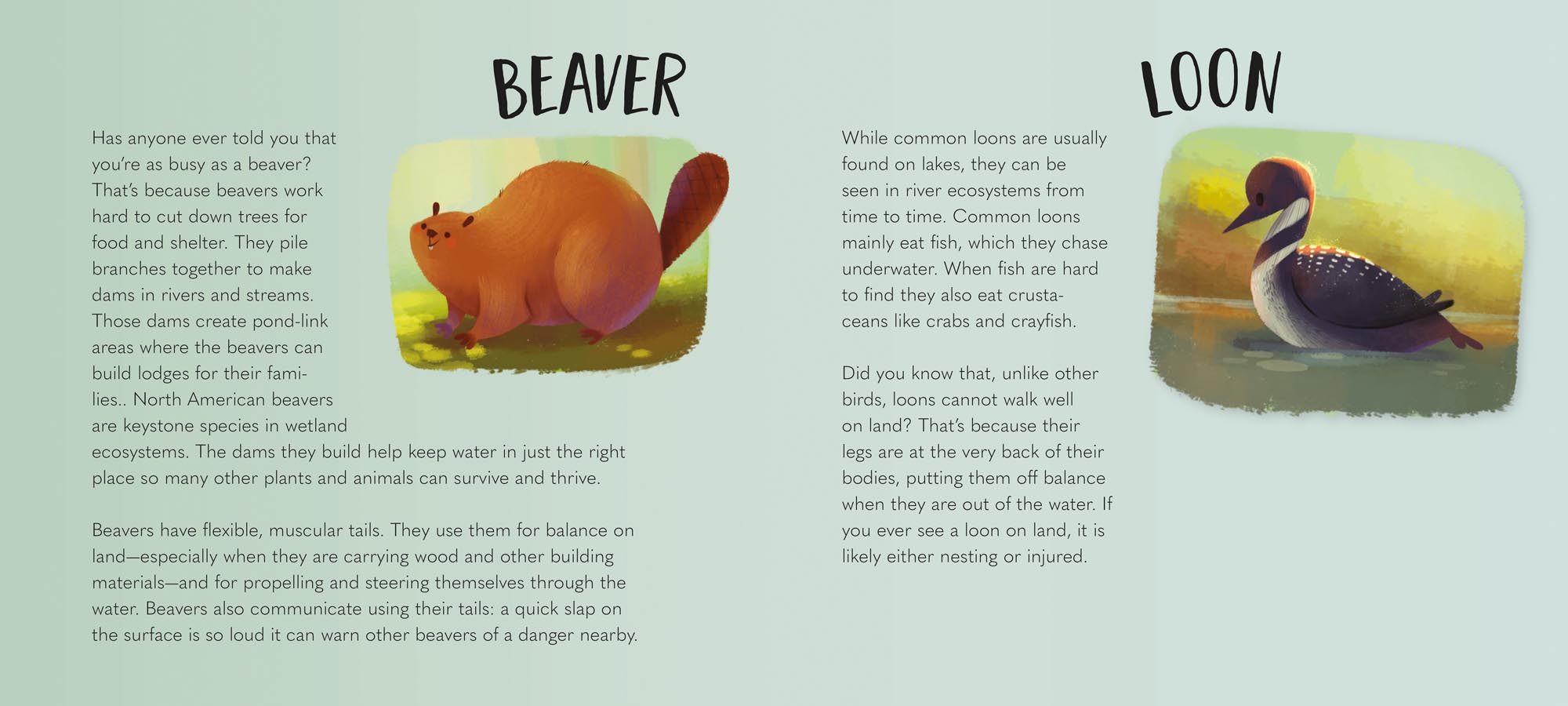 Image: sample content