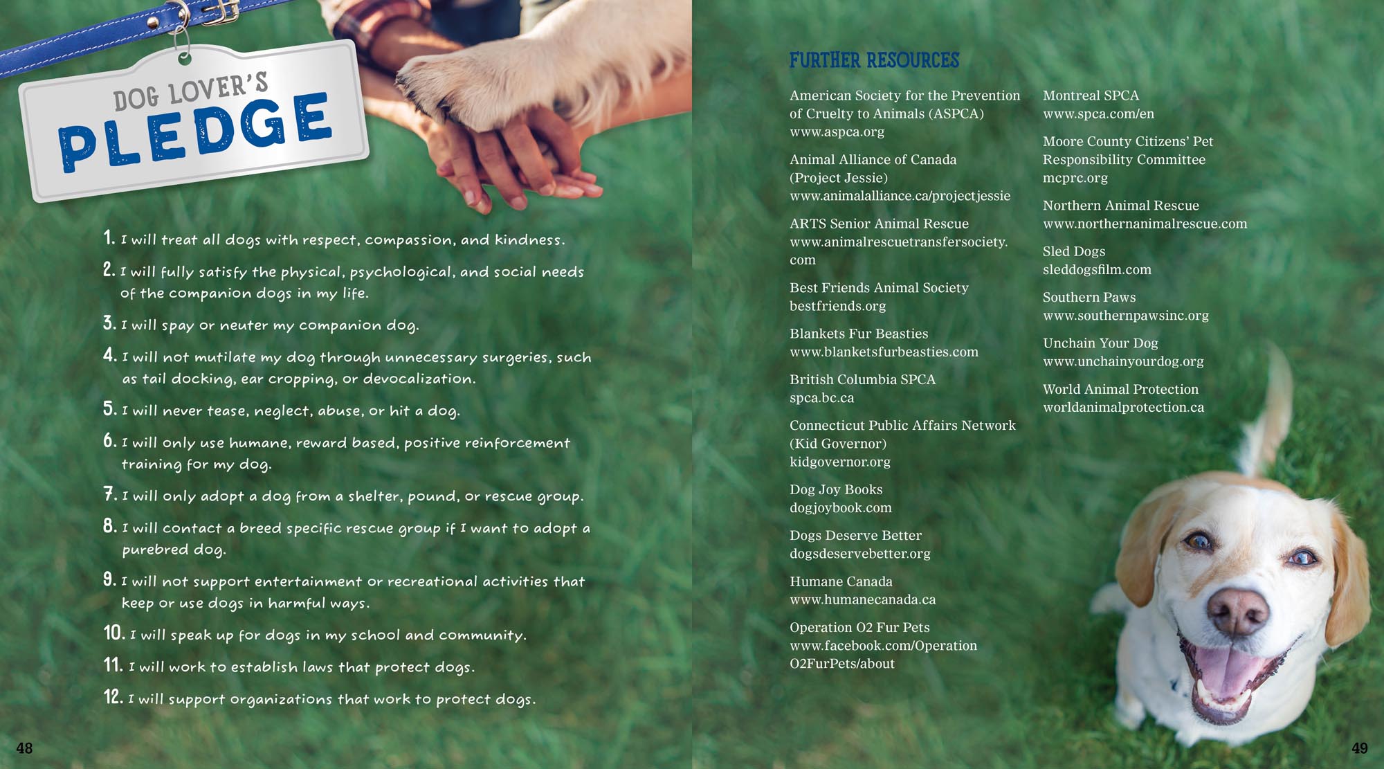 Image: sample content