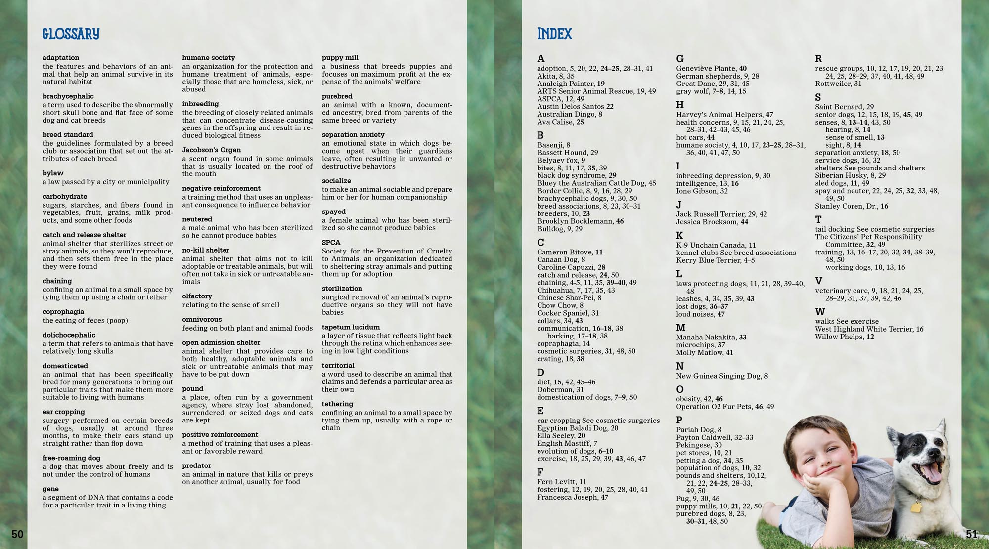 Image: sample content