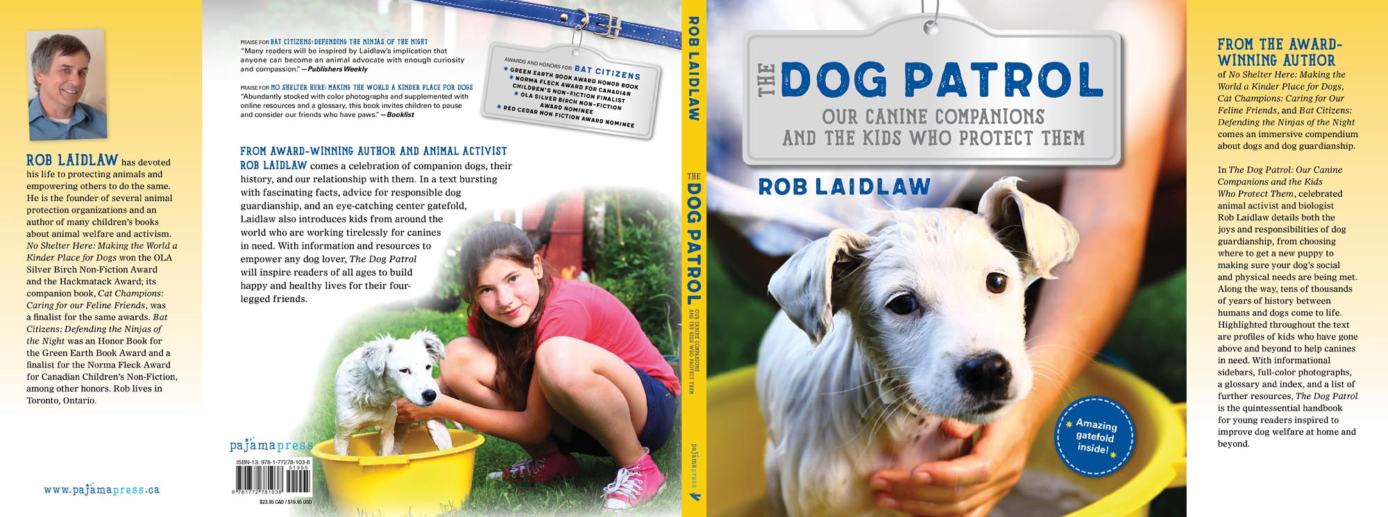 Image: sample content