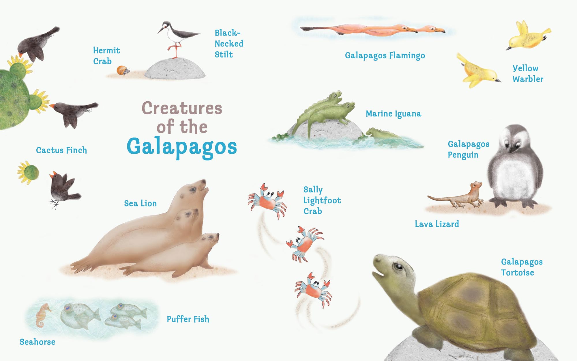 Image: sample content