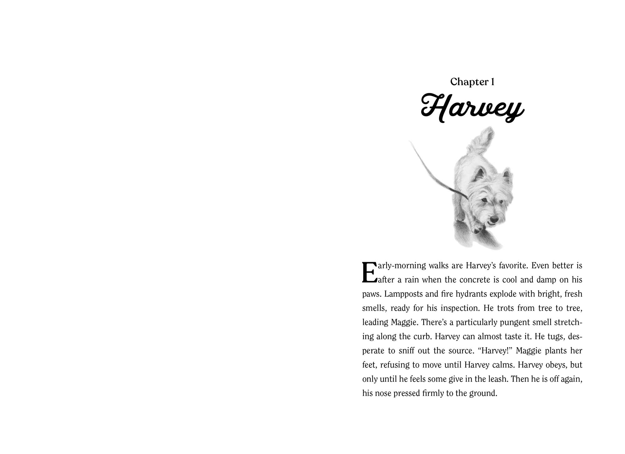 Image: sample content