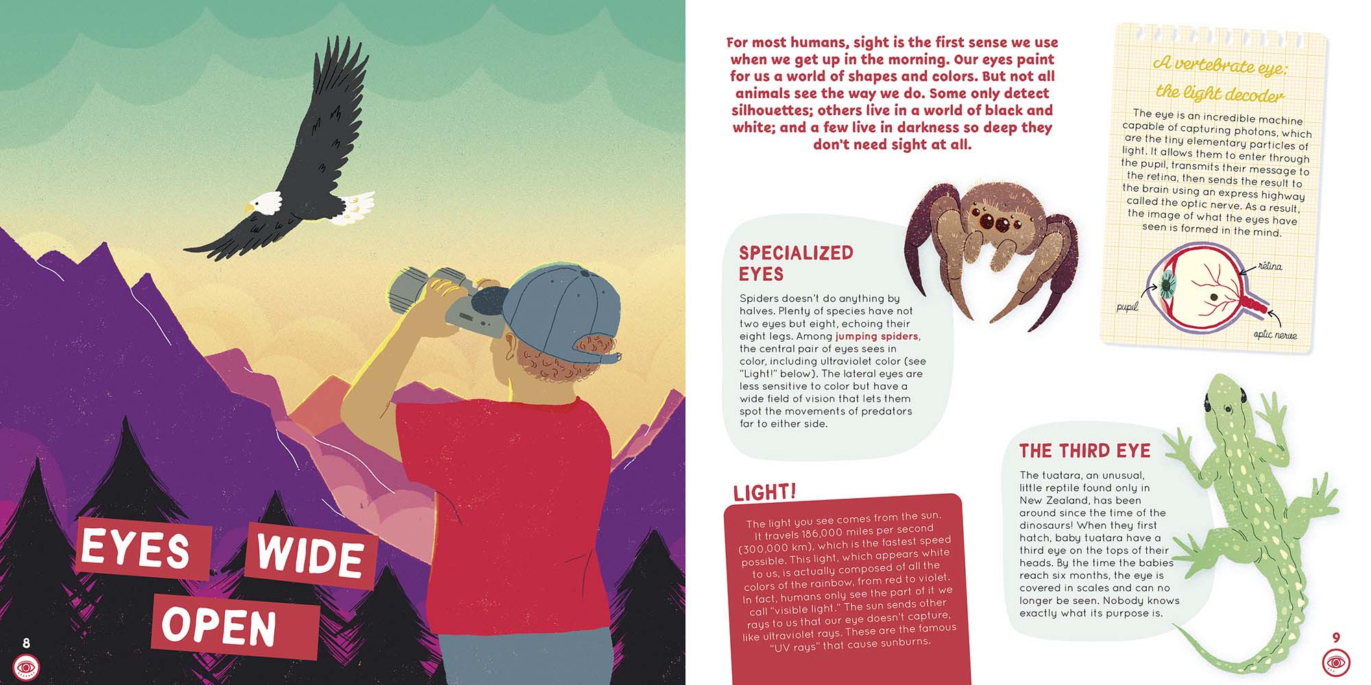 Image: sample content