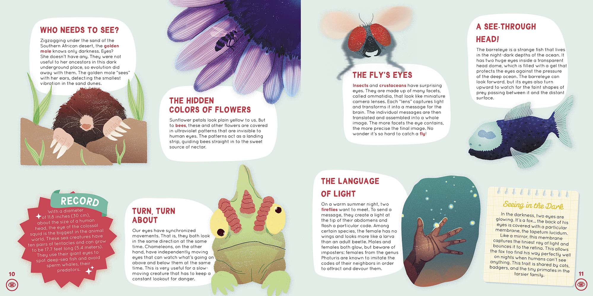 Image: sample content