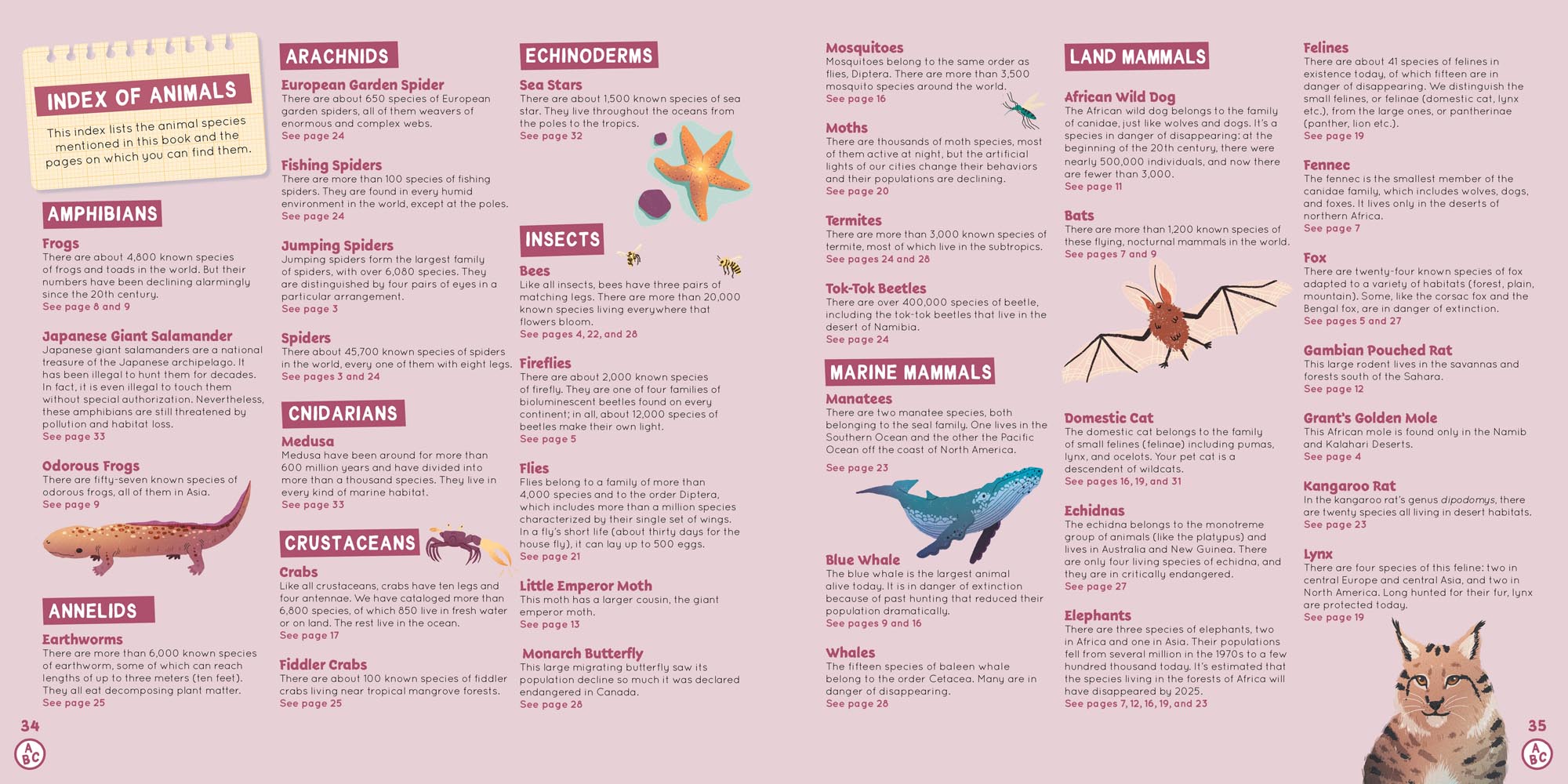 Image: sample content