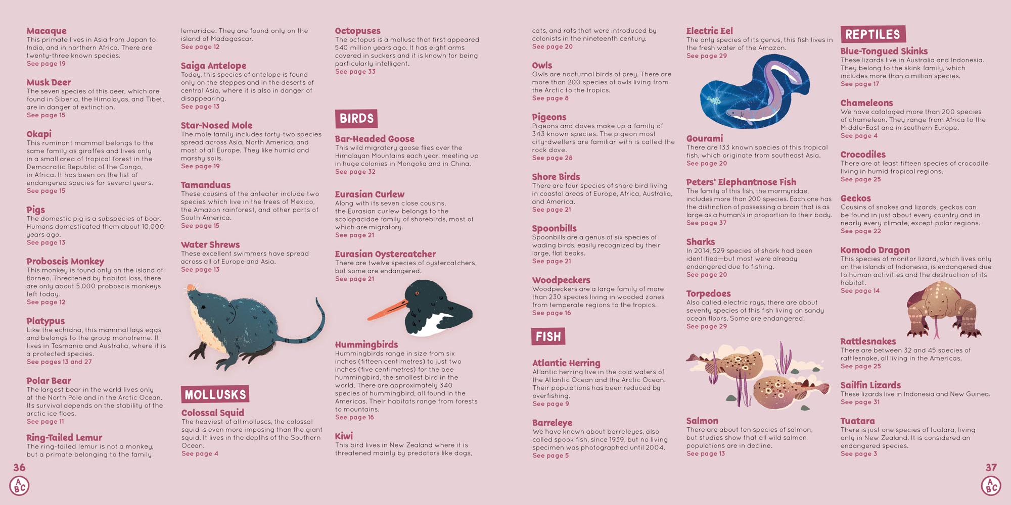 Image: sample content