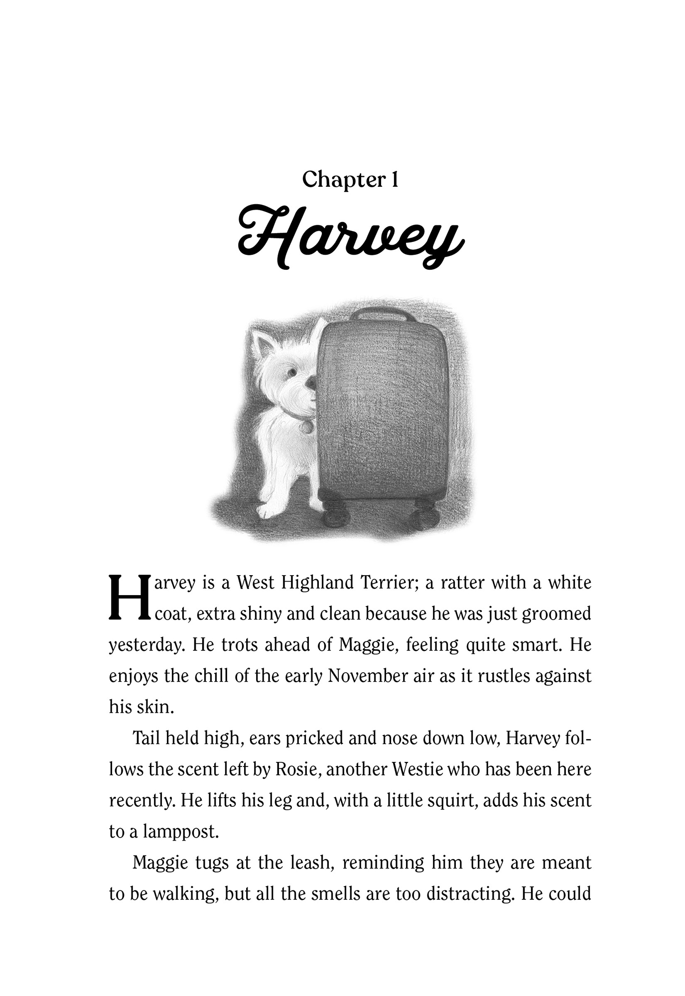 Image: sample content