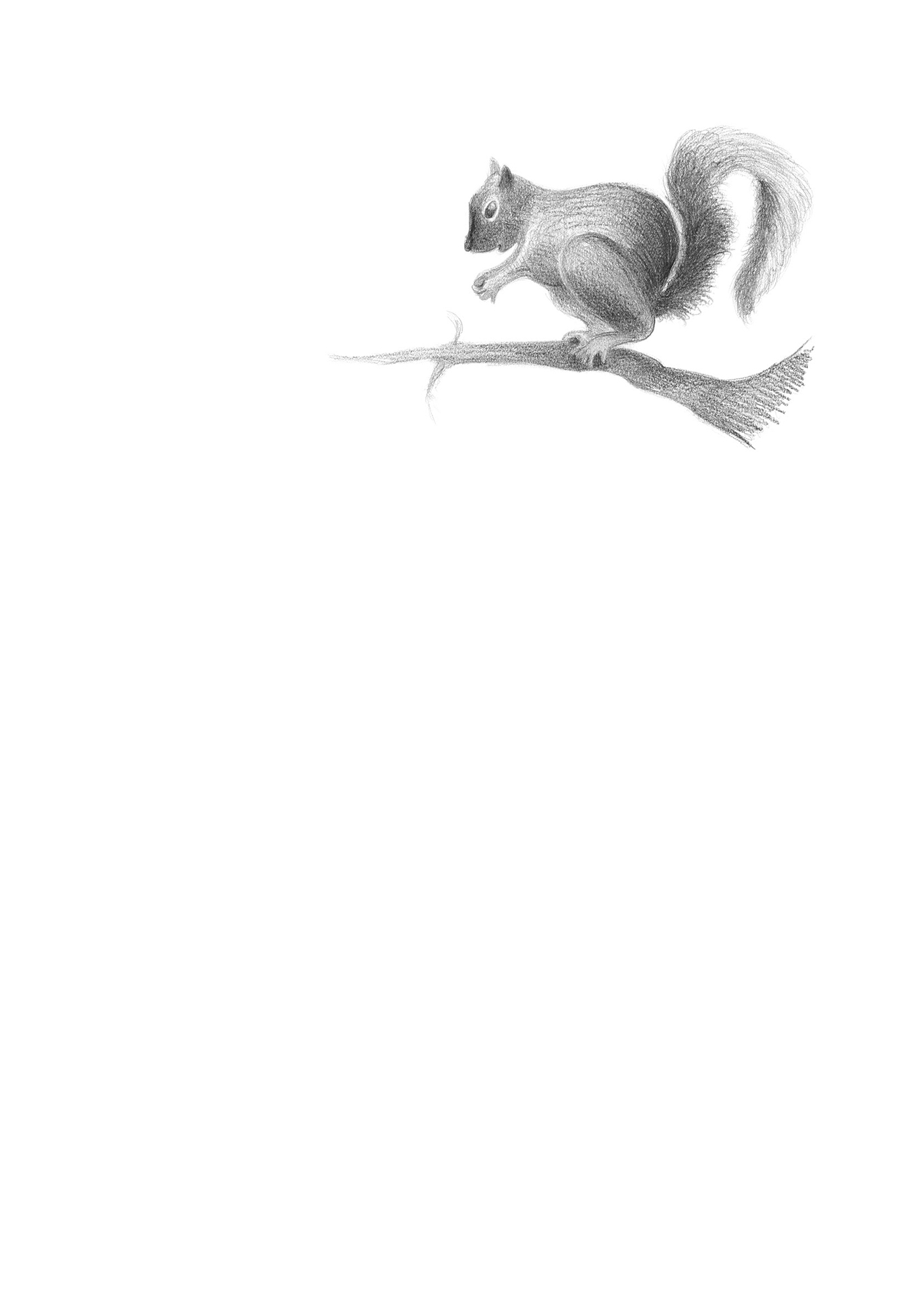 Image: sample content