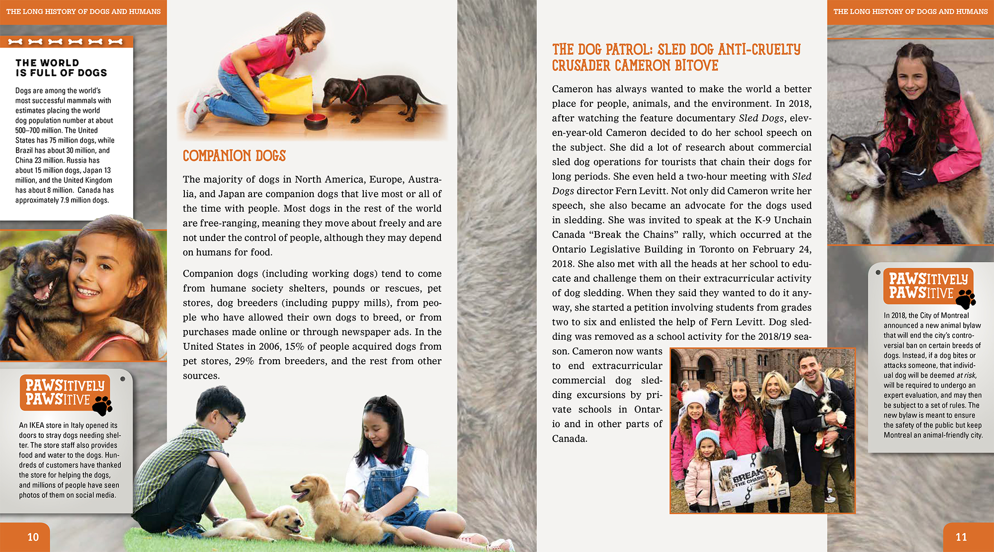 Image: sample content