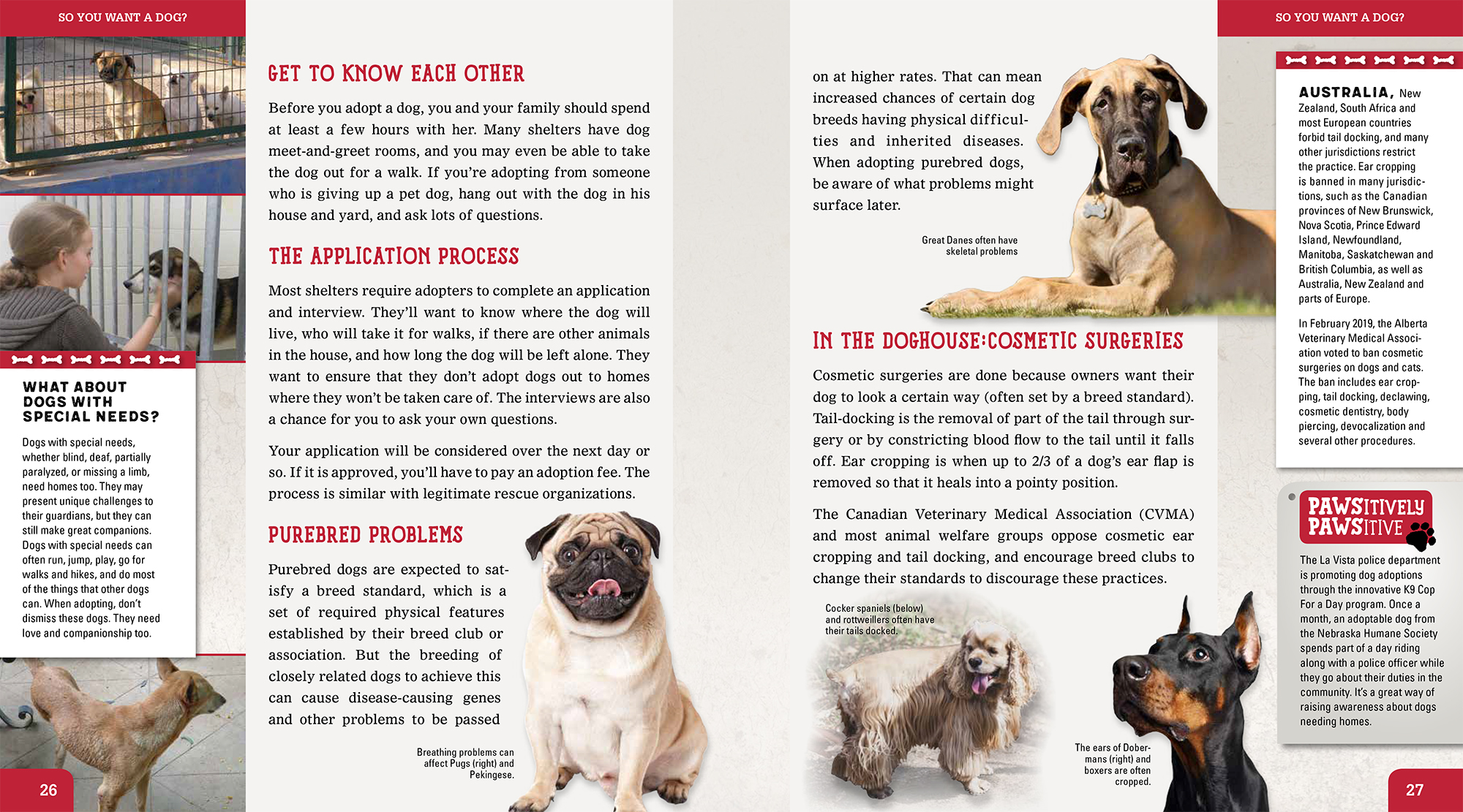 Image: sample content