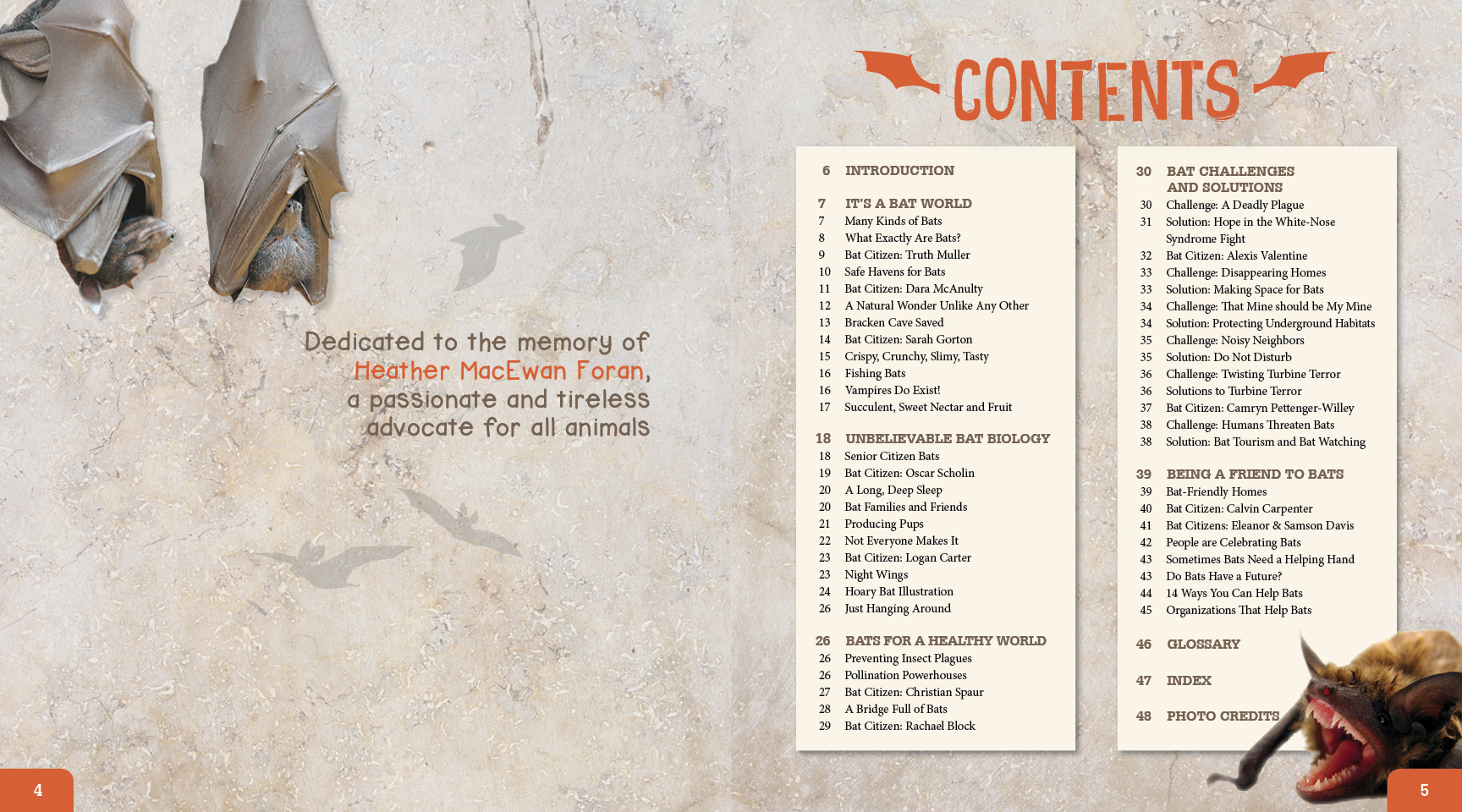 Image: sample content