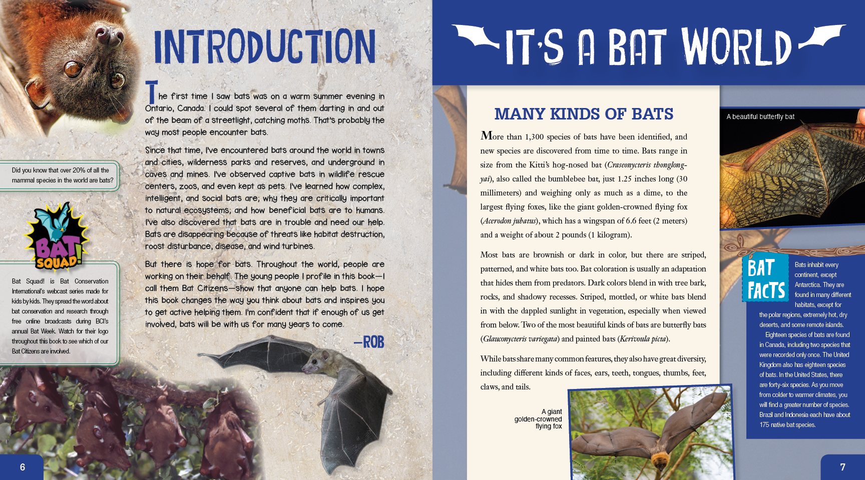 Image: sample content