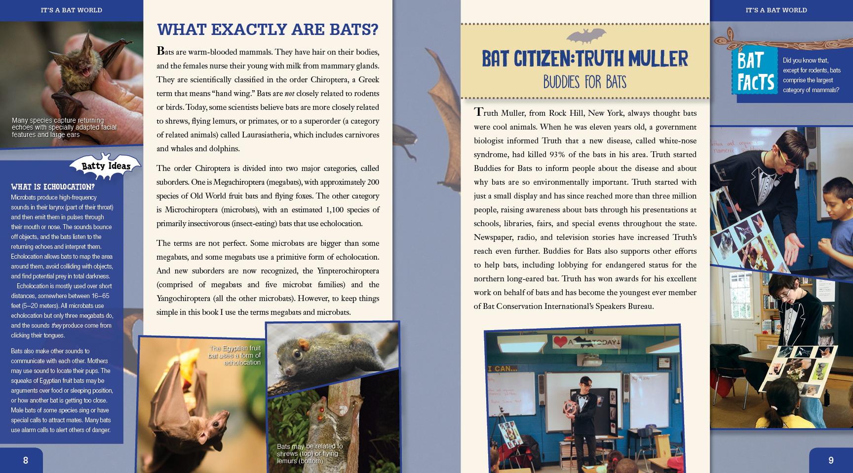 Image: sample content