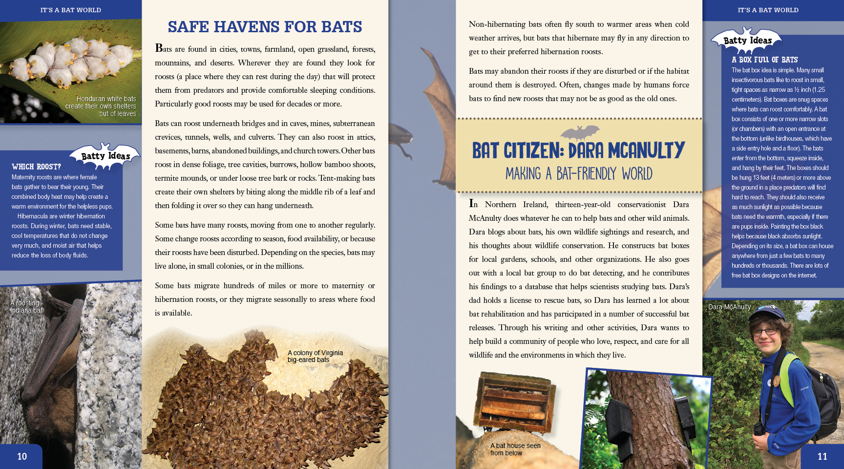 Image: sample content