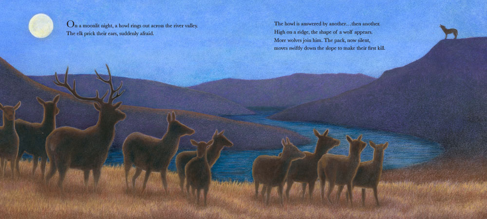 Image: sample content