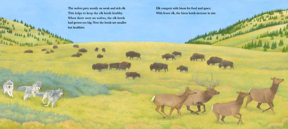 Image: sample content