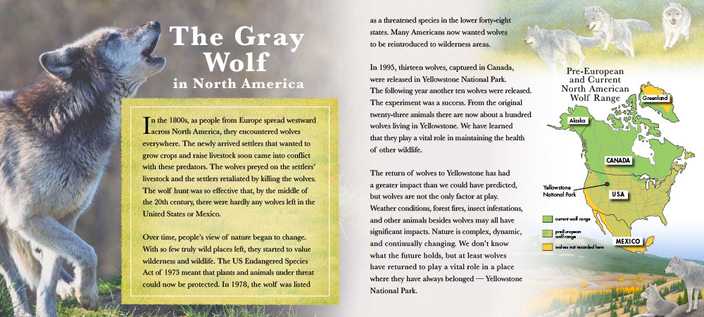 Image: sample content