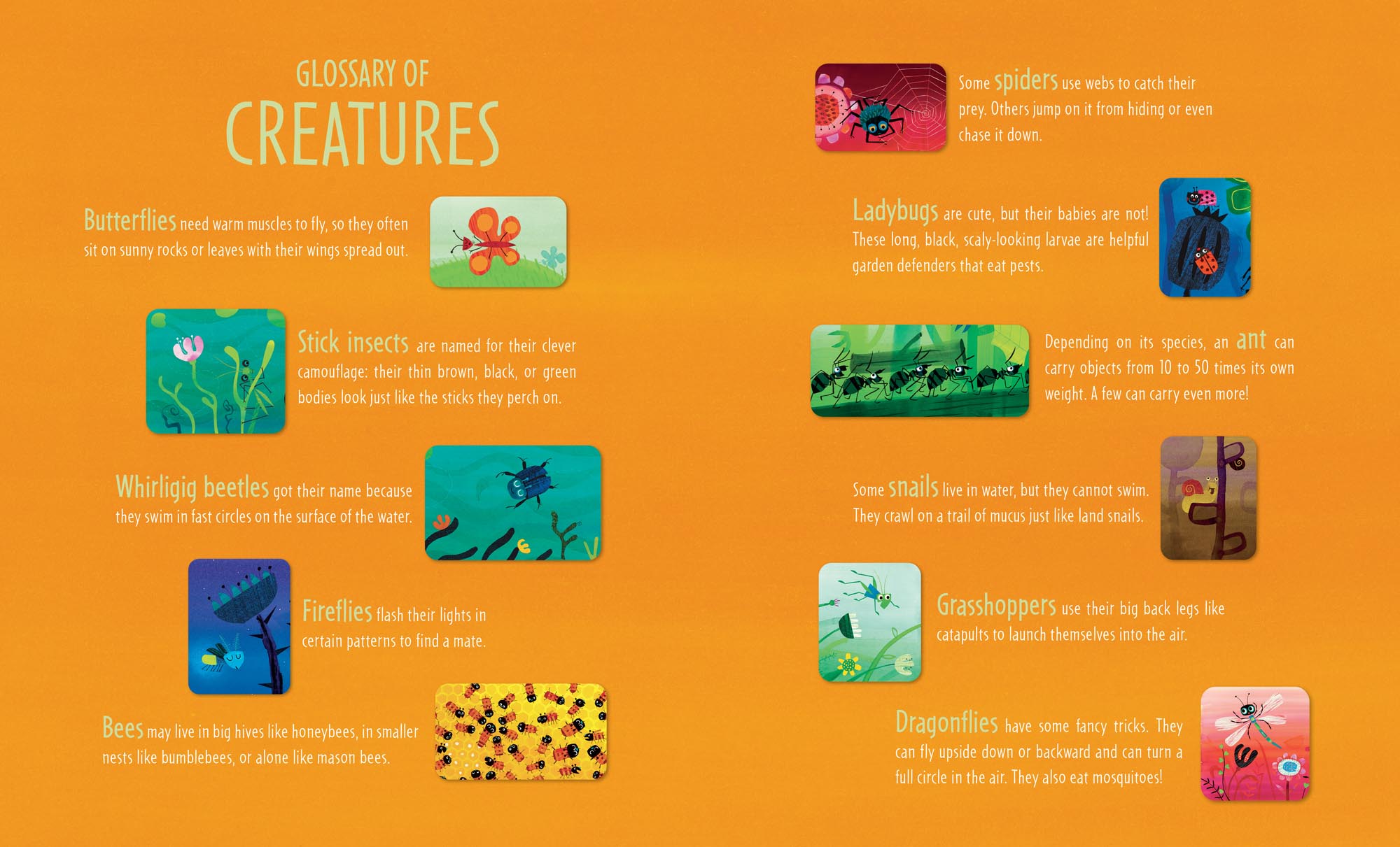 Image: sample content